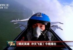 飞行员爆料最新消息视频,最新爆料视频揭露航空业惊人内幕