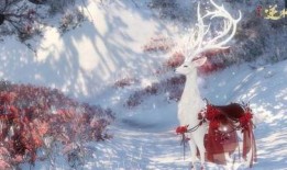 逆水寒衣服头发最新爆料,华丽服饰与飘逸发型，带你领略古风魅力