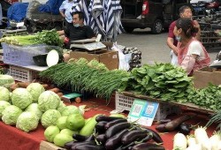 深圳菜市场爆料案件最新,揭开食品安全背后的惊人真相