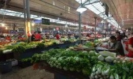 深圳菜市场爆料案件最新,揭开食品安全背后的惊人真相