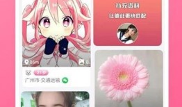 藏道最新爆料视频下载,视频内容深度解析