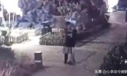 老街最新爆料视频在线观看,揭秘街巷变迁背后的故事