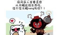 星座爆料王排行榜最新,揭秘十二星座最新运势与秘密